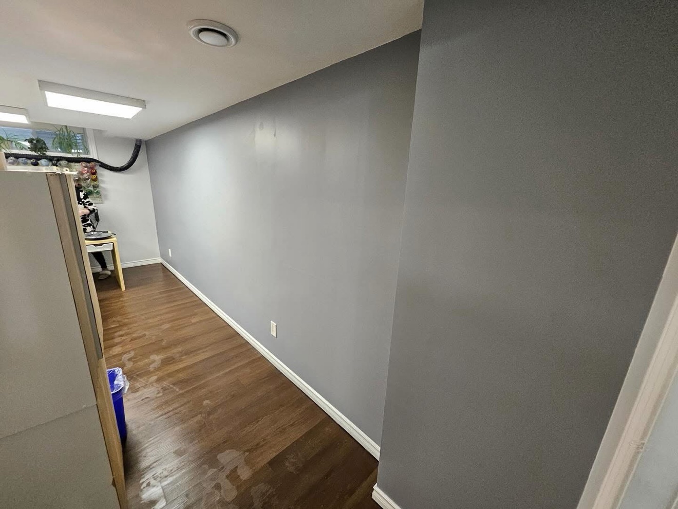 Freshly painted basement walls and trim